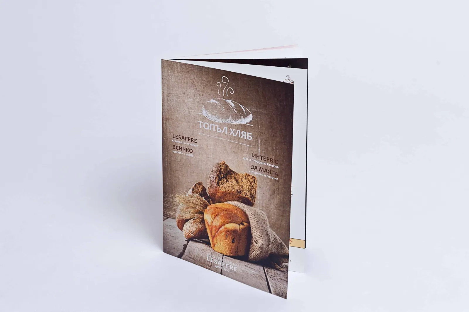 Brochures & Catalogs